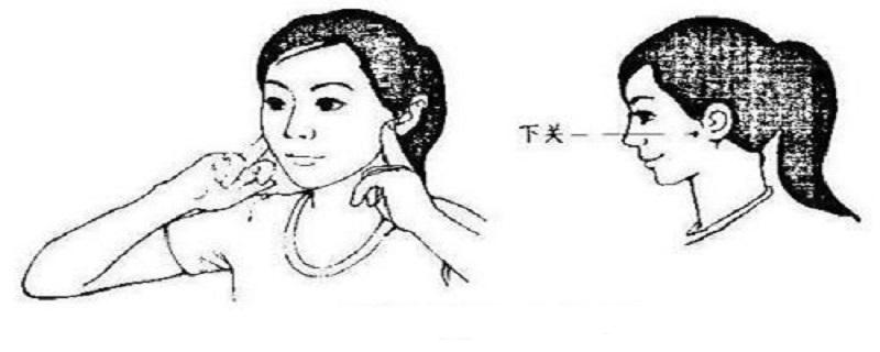 下关的定位和主治 下关主治什么-九图集