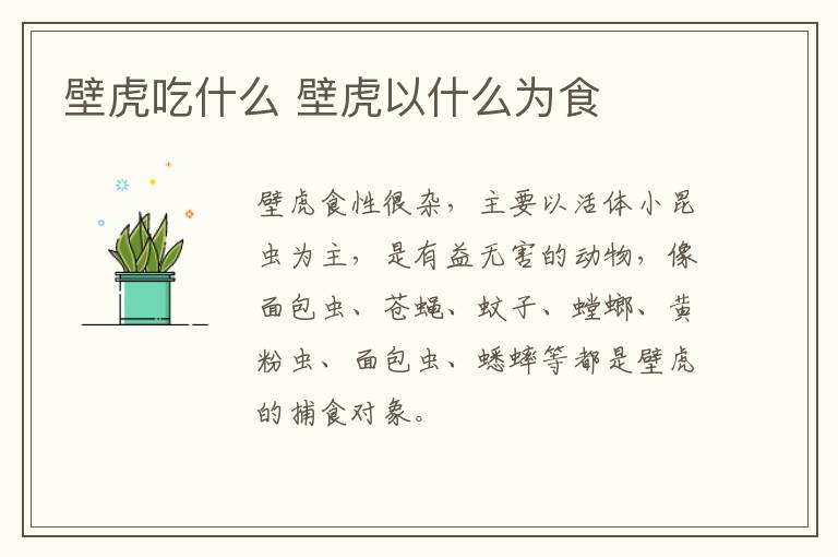 壁虎吃什么 壁虎以什么为食-九图集