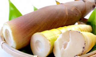 春笋的营养价值高吗(春笋含有什么营养成分)-九图集