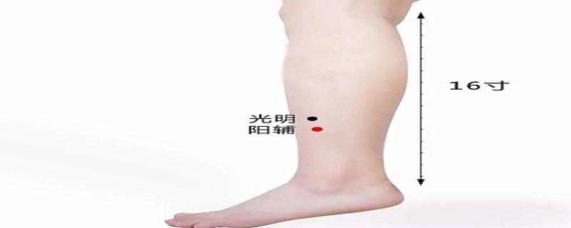 阳辅定位和主治（阳辅的准确位置图片主治）