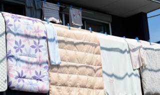 新买的鹅绒被可以晒太阳吗（鹅绒被可以暴晒太阳吗）