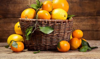 砂糖桔的功效与作用是什么 沙糖桔的功效和作用是什么