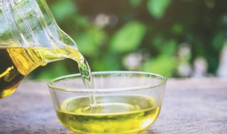 棕榈油的营养价值 棕榈油的营养价值和功效-九图集