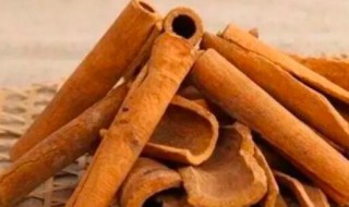 桂皮的营养价值 桂皮的营养价值与食用功效-九图集