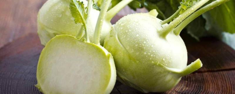 广东菜果叫什么（菜果叫什么名字）-九图集