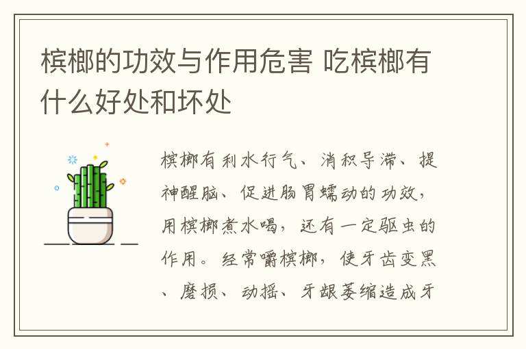 槟榔的功效与作用危害 吃槟榔有什么好处和坏处