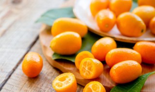 自制金桔膏的危害（金桔膏有用吗）-九图集