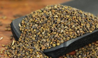 沙苑子的营养价值 沙苑子的营养成分-九图集