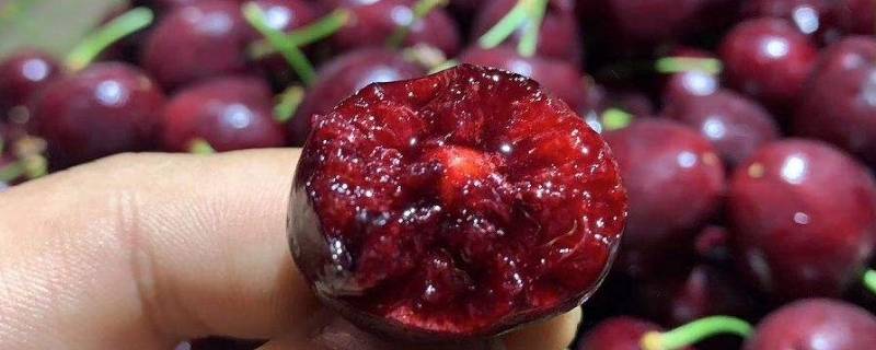 车厘子加d是什么 车厘子L和D的差别