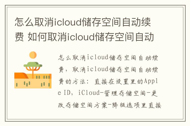 怎么取消icloud储存空间自动续费 如何取消icloud储存空间自动续费
