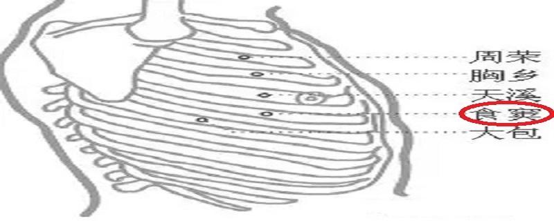 食窦准确位置图和作用 食窦的位置