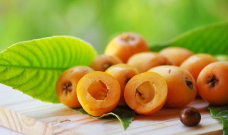 枇杷不熟能吃吗 枇杷未成熟时可以吃吗