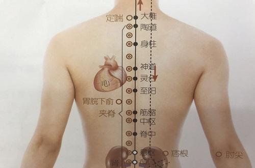 神道的准确位置图和作用 神道位置图及作用