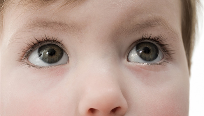 山根是什么 山根是