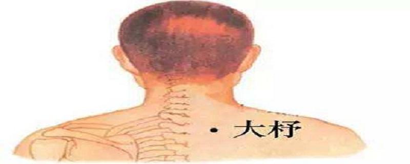 大杼准确位置图和作用（大杼的准确位置图）-九图集