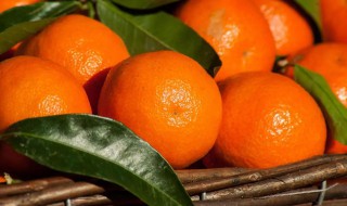 皇帝柑吃了会加重湿气吗-九图集