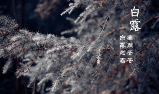 北方白露节气天热吗（白露节气天气还热吗）