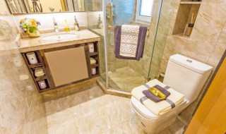 卫生棉条如何上厕所 使用卫生棉条如何上厕所