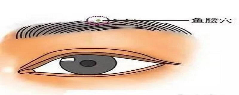 鱼腰的针刺方法(鱼腰怎么针刺)