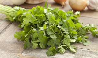 香菜煮水的营养价值 香菜煮水的功效与作用点-九图集