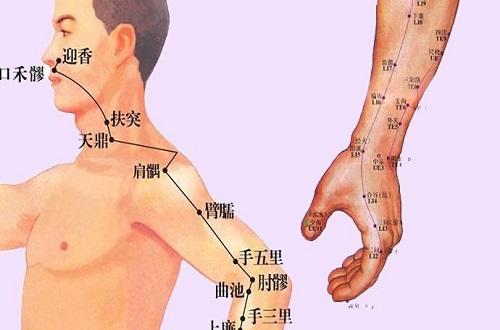 手阳明大肠经循行图(手阳明大肠经循行图素野小医)