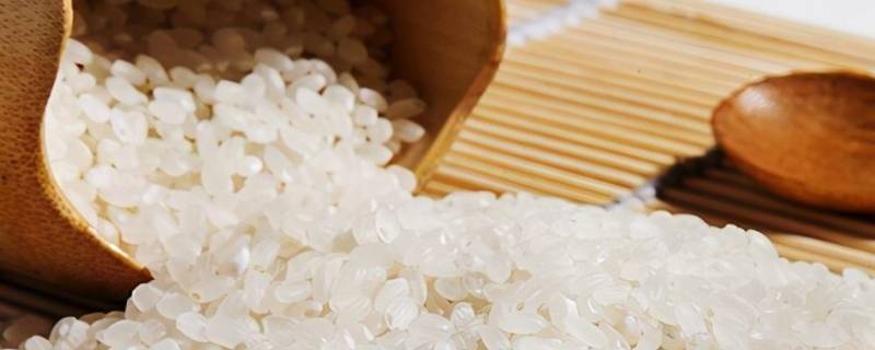 家里储备哪些应急食物（家里必备的应急食物）-九图集