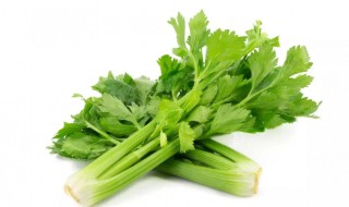 芹菜有什么营养成分（芹菜营养成份）-九图集