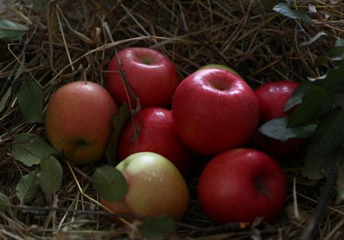 熬夜感冒喉咙痛怎么办(熬夜喉咙发炎怎么办)