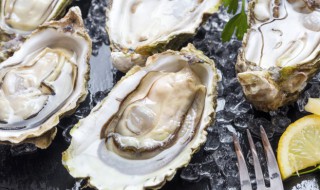 女生吃生蚝吃多了会怎么样（女的吃太多生蚝会怎么样）