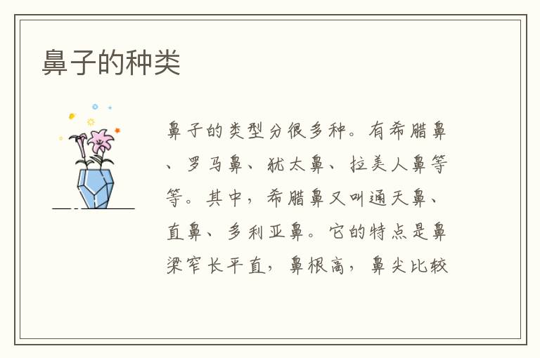 鼻子的种类-九图集