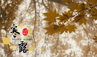 寒露节气是什么时候 今天的寒露节气是什么时间