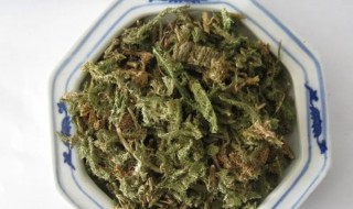 豨莶草的营养价值(桸莶草的功效与作用及食用方法)