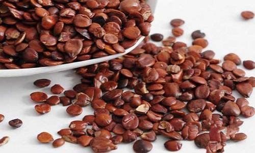 失眠用什么中药能调理 长期失眠用什么中药调理-九图集