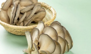 过夜的蘑菇第二天可以吃吗（过夜的蘑菇第二天可以吃吗没放冰箱）