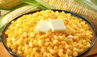 煮熟的酸玉米可以做窝料吗 玉米做窝料煮多久-九图集