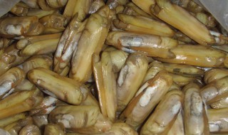 男人吃蛏子的好处 男人吃蛏子能壮阳