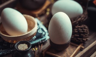 鹅蛋变色了还能吃吗（鹅蛋发红还能吃吗）-九图集