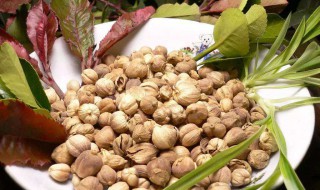 炒青皮的功效与作用 炒青皮的功效与作用是什么-九图集