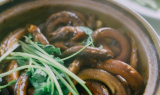 鳝鱼血的营养价值 鳝鱼血有营养吗