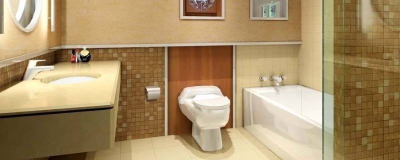 厕所里面的黑色的小飞虫怎么处理 厕所里面的黑色的小飞虫怎么处理好