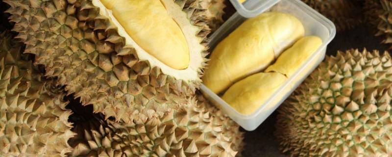 榴莲太凉怎么加热 太冷了榴莲能加热吃吗