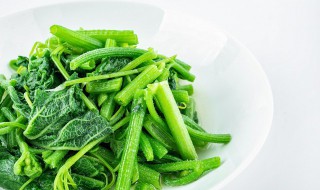 南瓜藤的营养价值(南瓜藤的功效与作用 南瓜藤的营养价值)