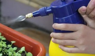 三七多长时间浇一次水（三七怎么浇水）-九图集