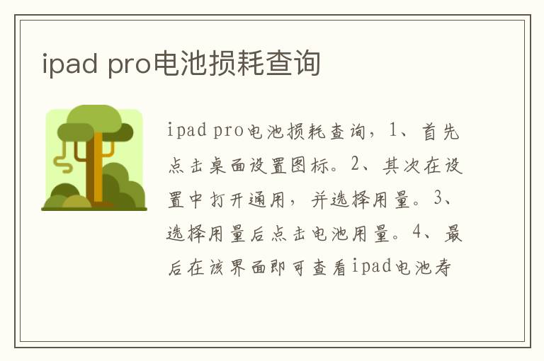 ipad pro电池损耗查询