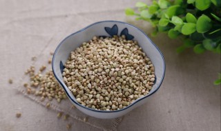 三棱的营养价值 三棱的营养价值及功效