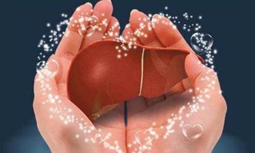 如何保护肝脏健康（如何保护肝脏健康吃什么）-九图集