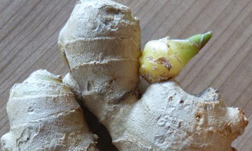 秋天为什么不能吃姜（秋天为啥不能吃姜）-九图集