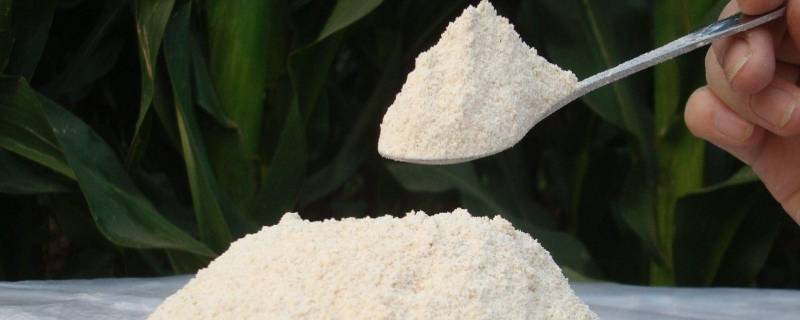 面包粉用完后可用什么来代替 面包粉用完后可用什么来代替小麦粉-九图集