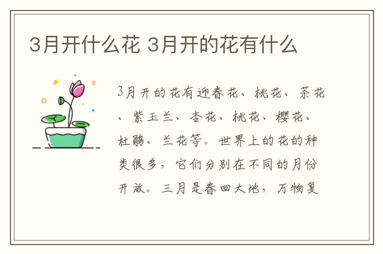 3月开什么花 3月开的花有什么