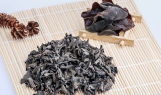 五种人不宜吃木耳（五种人不宜吃木耳吃木耳血脂高有效吗）-九图集